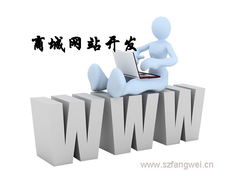 商城網(wǎng)站開發(fā)